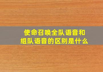 使命召唤全队语音和组队语音的区别是什么