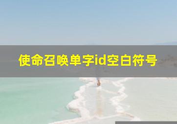 使命召唤单字id空白符号