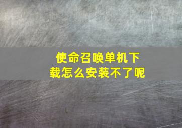 使命召唤单机下载怎么安装不了呢