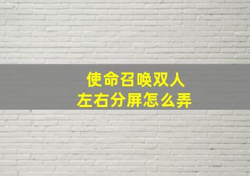 使命召唤双人左右分屏怎么弄