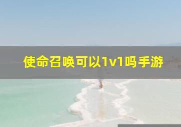 使命召唤可以1v1吗手游