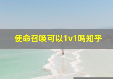 使命召唤可以1v1吗知乎