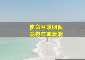 使命召唤团队竞技在哪玩啊