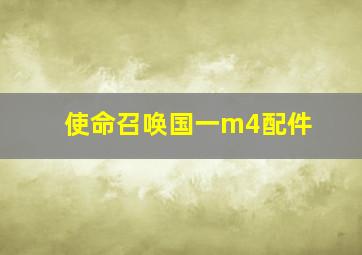 使命召唤国一m4配件