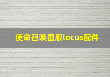 使命召唤国服locus配件