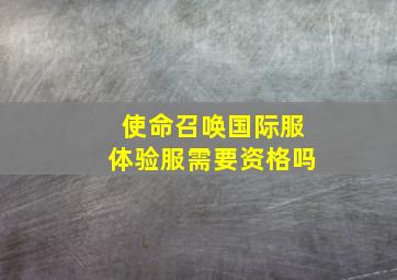 使命召唤国际服体验服需要资格吗