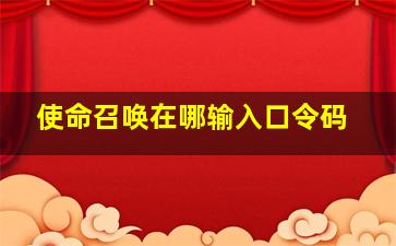 使命召唤在哪输入口令码