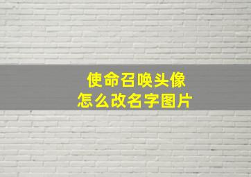 使命召唤头像怎么改名字图片