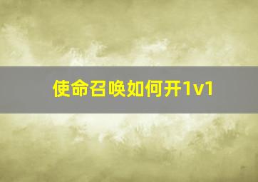 使命召唤如何开1v1