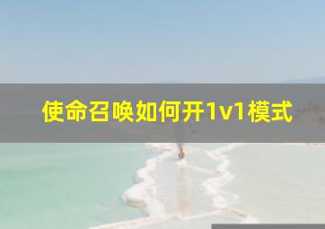 使命召唤如何开1v1模式