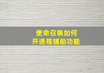 使命召唤如何开透视辅助功能