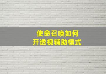 使命召唤如何开透视辅助模式