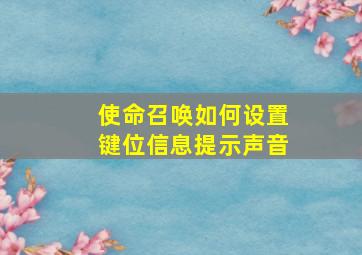 使命召唤如何设置键位信息提示声音