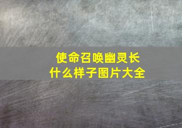 使命召唤幽灵长什么样子图片大全