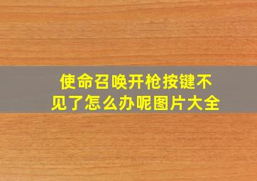 使命召唤开枪按键不见了怎么办呢图片大全