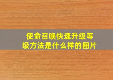 使命召唤快速升级等级方法是什么样的图片