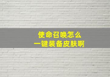 使命召唤怎么一键装备皮肤啊