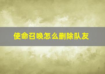 使命召唤怎么删除队友