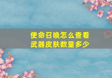 使命召唤怎么查看武器皮肤数量多少