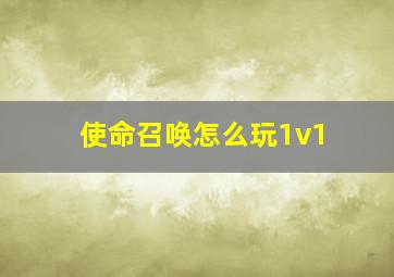 使命召唤怎么玩1v1