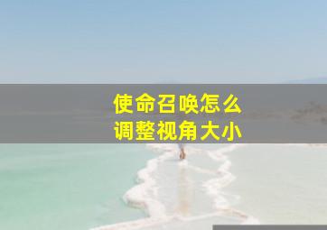 使命召唤怎么调整视角大小