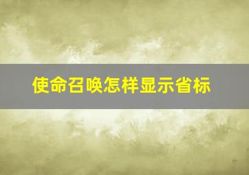 使命召唤怎样显示省标