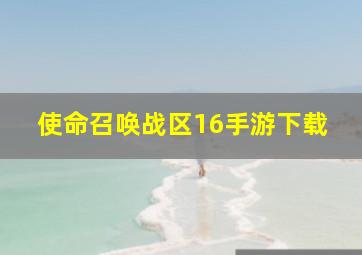 使命召唤战区16手游下载