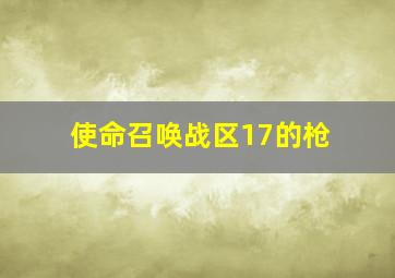 使命召唤战区17的枪