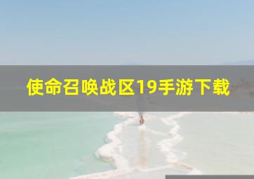 使命召唤战区19手游下载