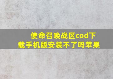 使命召唤战区cod下载手机版安装不了吗苹果