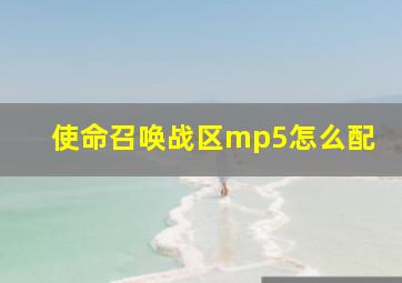 使命召唤战区mp5怎么配