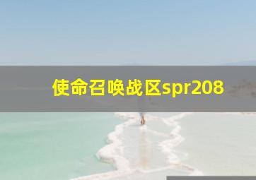 使命召唤战区spr208