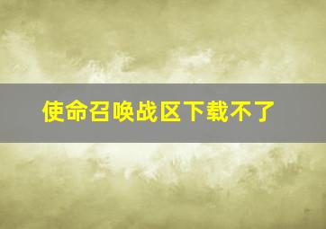 使命召唤战区下载不了