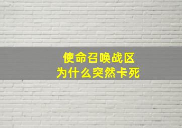 使命召唤战区为什么突然卡死