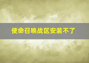 使命召唤战区安装不了