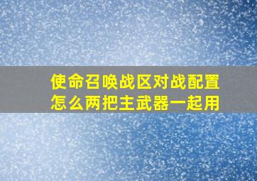 使命召唤战区对战配置怎么两把主武器一起用