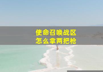 使命召唤战区怎么拿两把枪