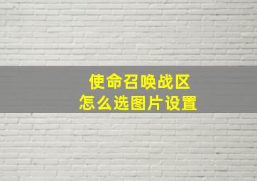 使命召唤战区怎么选图片设置