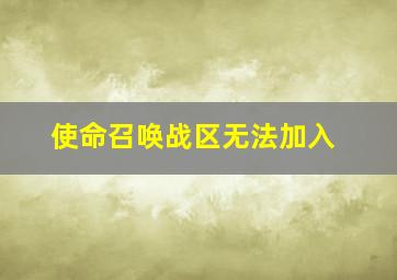 使命召唤战区无法加入