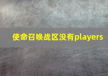 使命召唤战区没有players