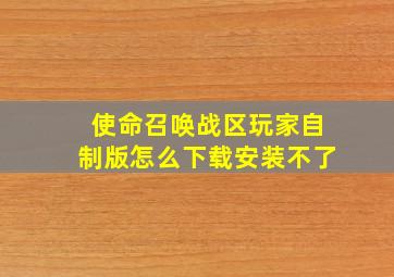 使命召唤战区玩家自制版怎么下载安装不了