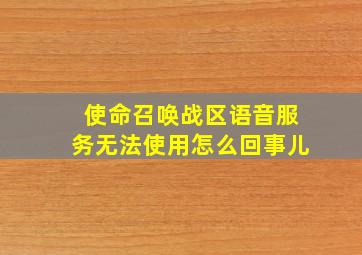 使命召唤战区语音服务无法使用怎么回事儿