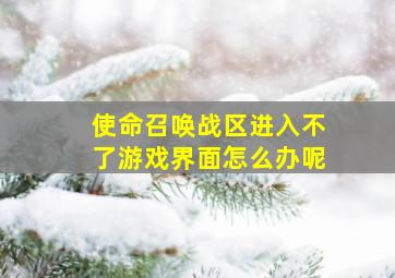 使命召唤战区进入不了游戏界面怎么办呢