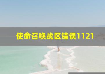 使命召唤战区错误1121