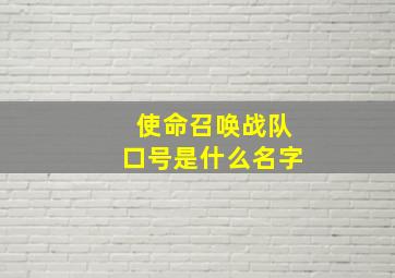 使命召唤战队口号是什么名字