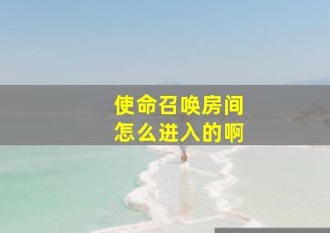 使命召唤房间怎么进入的啊