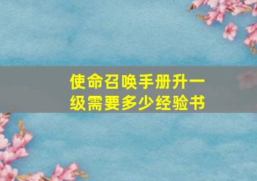 使命召唤手册升一级需要多少经验书