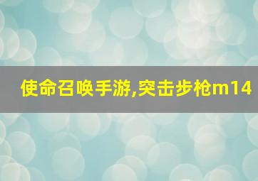 使命召唤手游,突击步枪m14