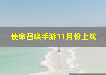 使命召唤手游11月份上线