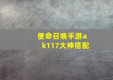 使命召唤手游ak117大神搭配